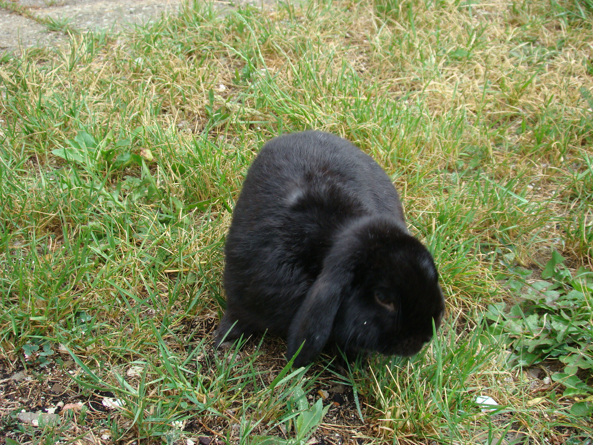 DSC03164.JPG