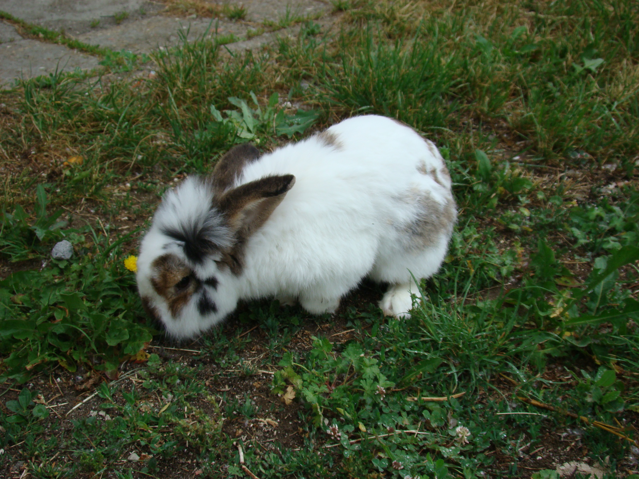 DSC03157.JPG
