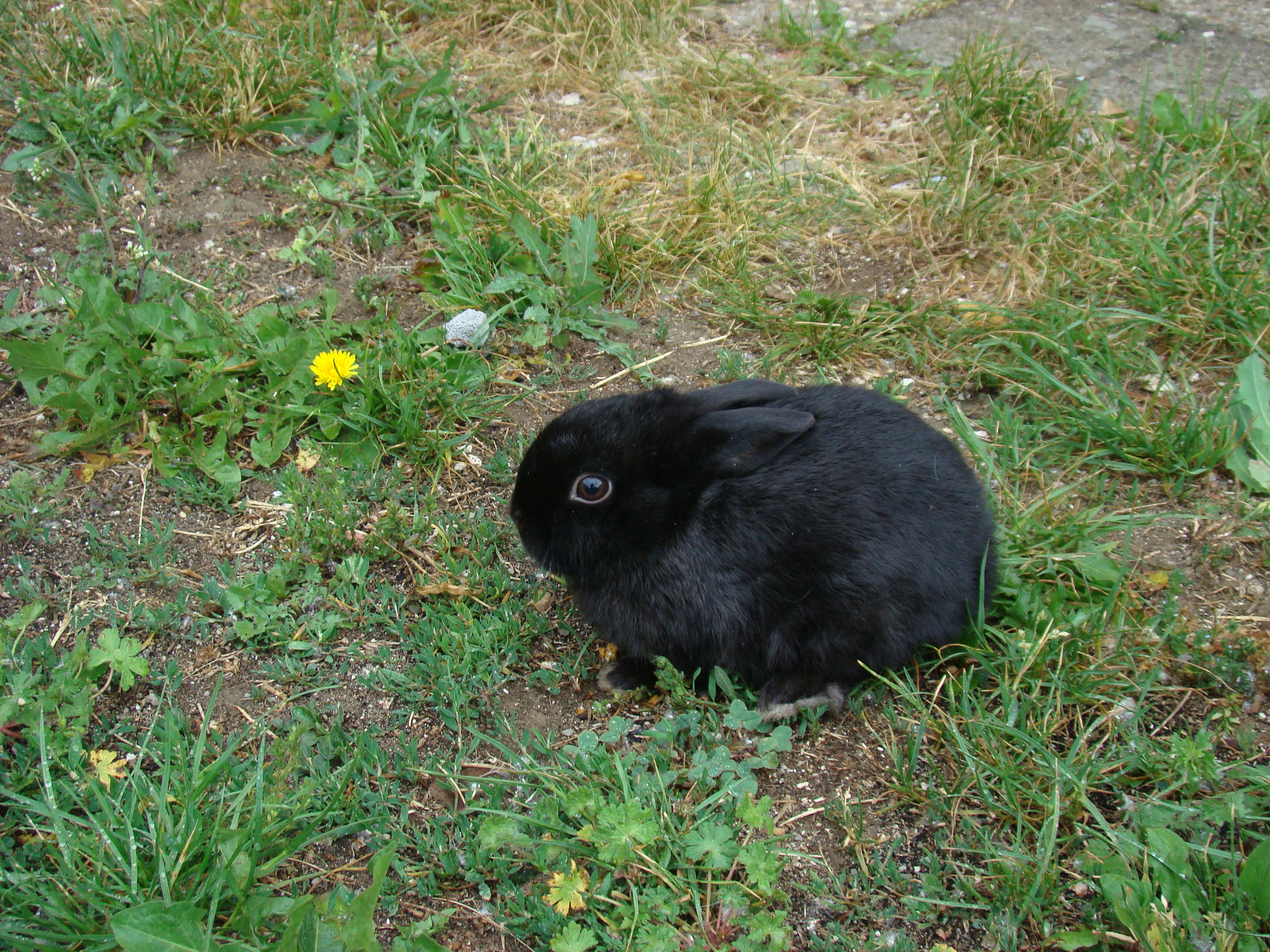 DSC03161.JPG