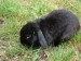 DSC03163.JPG