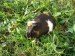 DSC03685.JPG