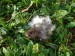 DSC03688.JPG