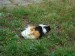 DSC03158.JPG