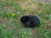 DSC03161.JPG